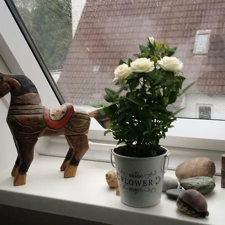 Hotel Hus Mattgoot 3*